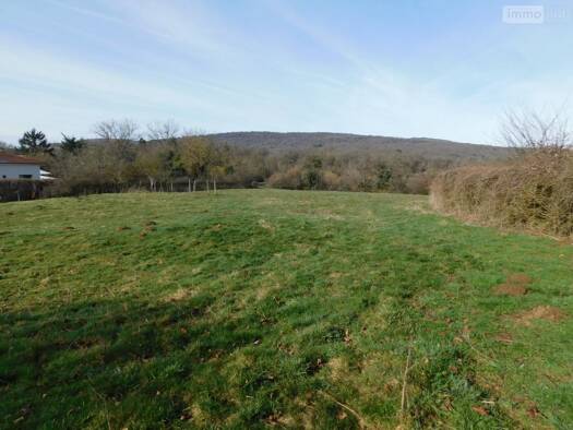 Terrain constructible à vendre 95 500 € 1 235 m² de terrain Neuville-sur-Ain 01160