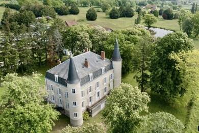 Hôtel particulier à vendre 1 800 000 € 18 pièces 13 chambres 700 m² 732 012 m² de terrain Céron 71110
