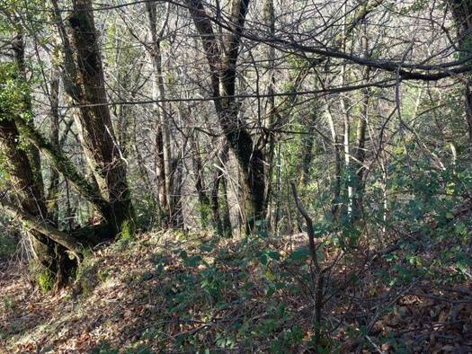 Terrain à vendre 47 000 € 6 393 m² de terrain Saint-Étienne-Vallée-Française 48330