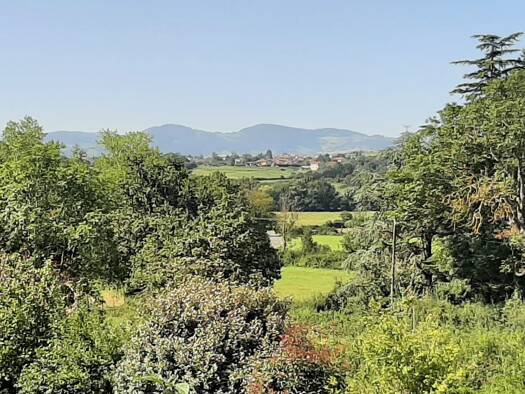 Terrain constructible viabilisé à vendre 230 000 € 541 m² de terrain Brindas 69126