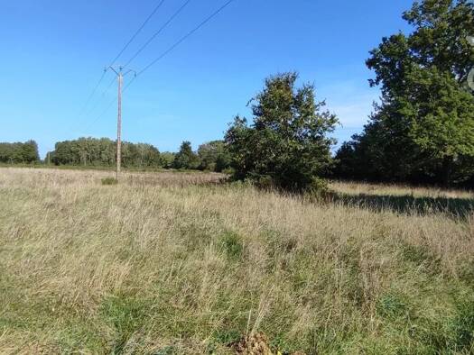 Terrain à vendre 149 600 € 61 141 m² de terrain Maslives 41250