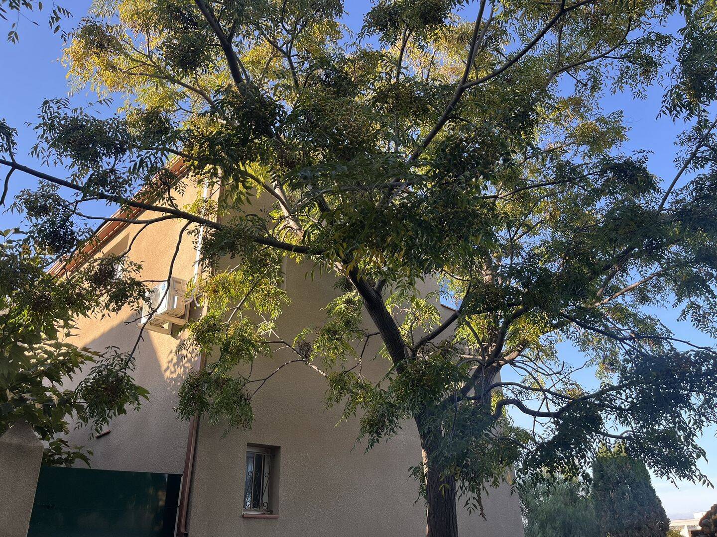 Maison 4 pièces 77 m² · à Saleilles · 77 m² · 215 000 €