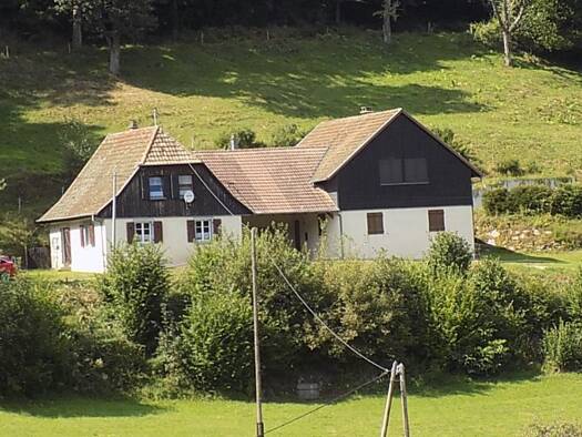 Maison à vendre 372 750 € 8 pièces 4 chambres 230 m² 6 800 m² de terrain Stosswihr 68140