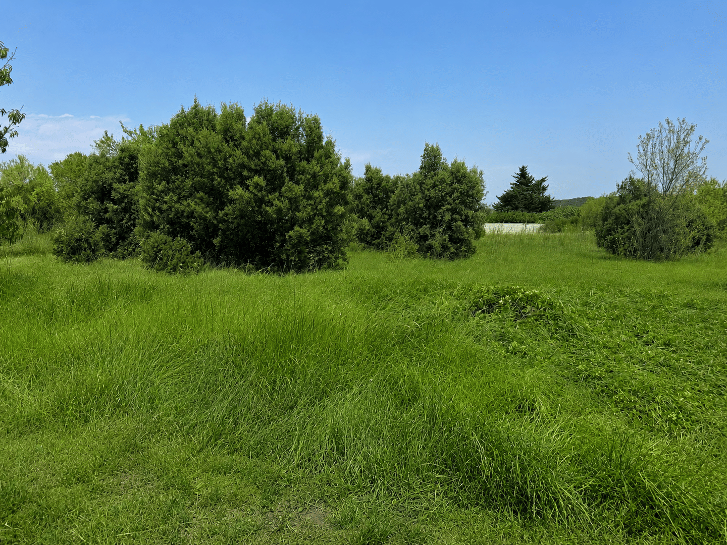 Terrain de 269 m² à Donzère - photo 2