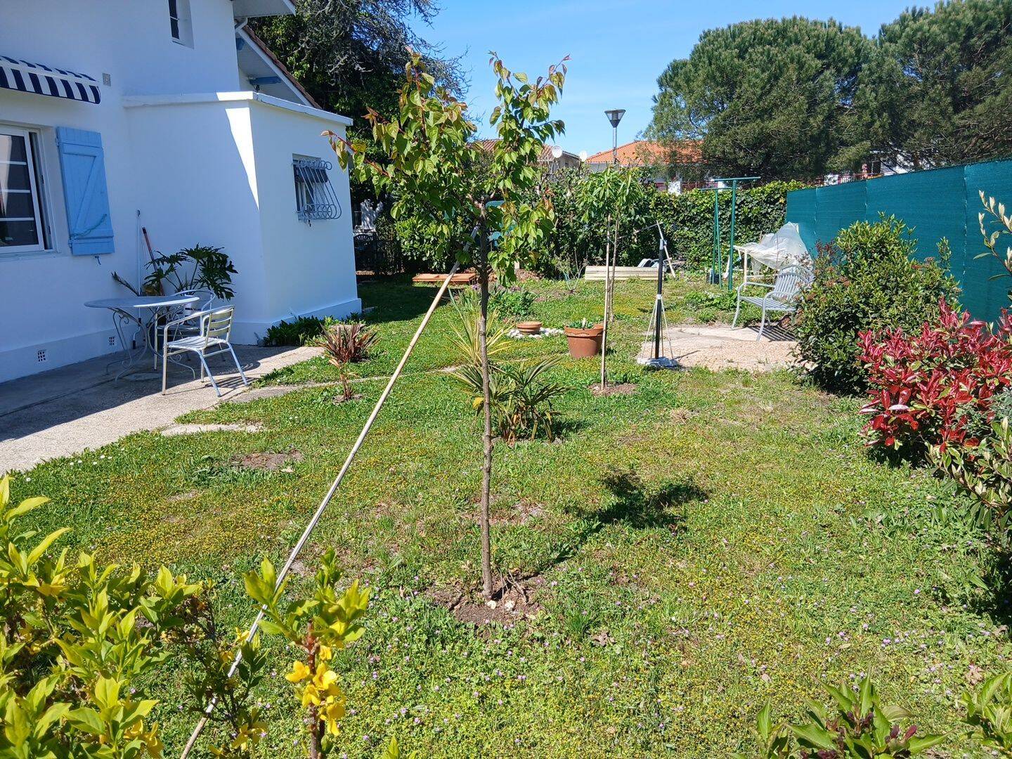 Maison 4 pièces 75 m² · à Biscarrosse · 75 m² · 59 998 €