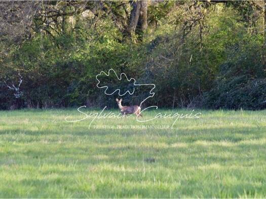 Maison à vendre 668 000 € 8 pièces 3 chambres 157 m² 388 912 m² de terrain Saint-Firmin-sur-Loire 45360