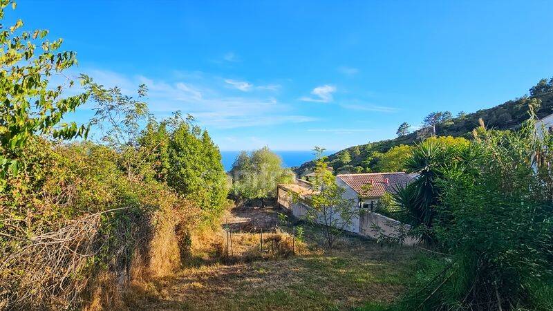 Maison 4 pièces 120 m² · à Sari-Solenzara · 120 m² · 350 000 €