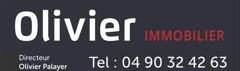 OLIVIER PALAYER IMMOBILIER logo