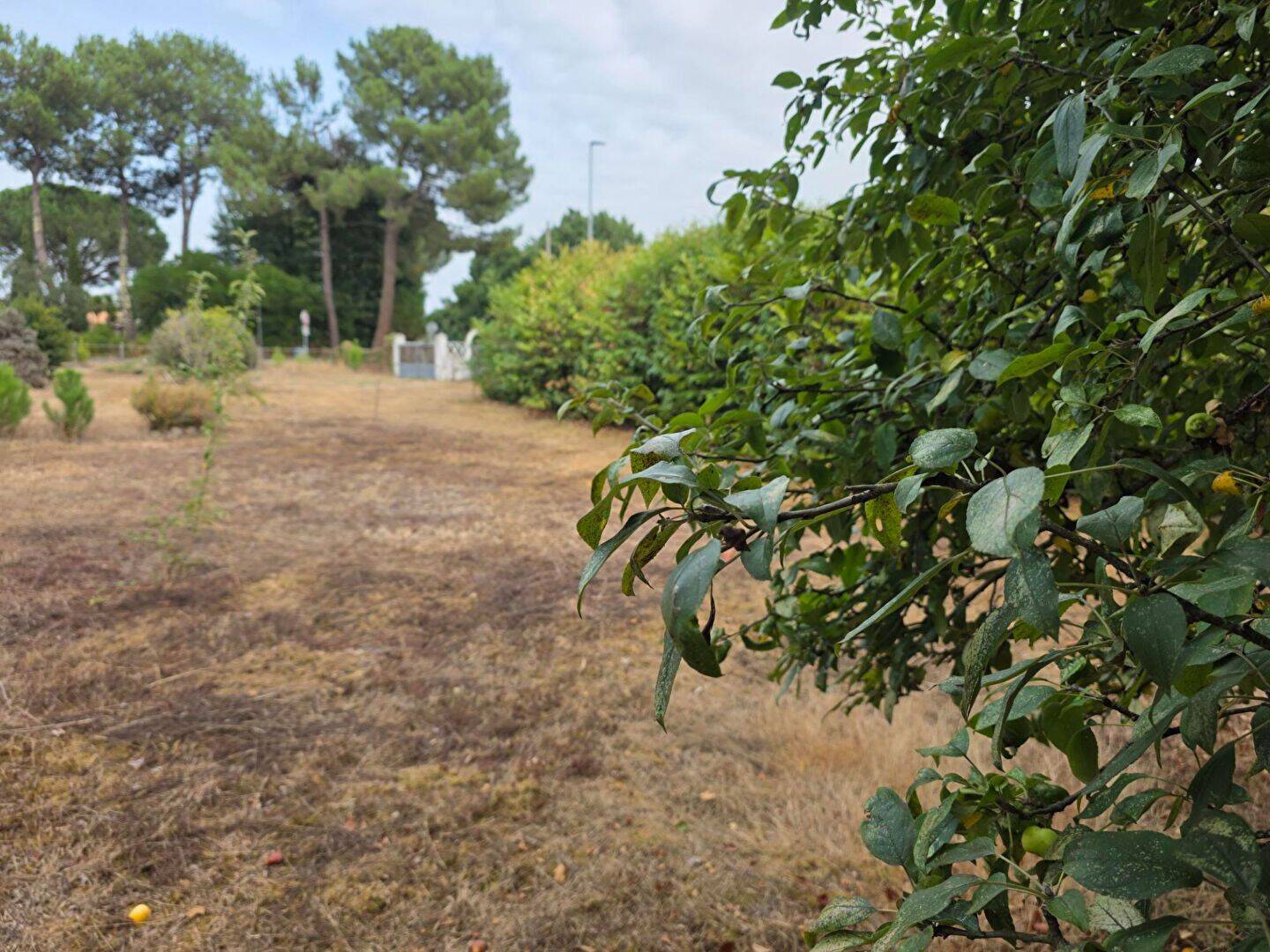 Terrain de 776 m² à Biganos - photo 2
