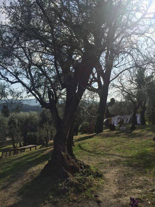 Maison 5 pièces 250 m² · à Grasse · 250 m² · 1 800 €/mois