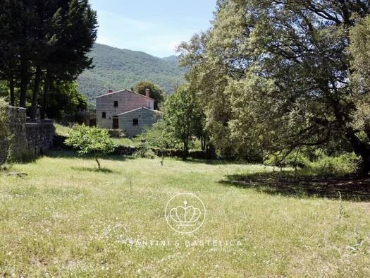 Terrain constructible à vendre 85 000 € 2 010 m² de terrain Zicavo 20132