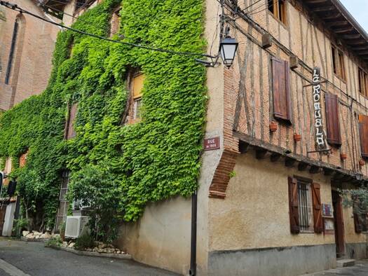 Immeuble à vendre 449 000 € 318 m² Lisle-sur-Tarn 81310