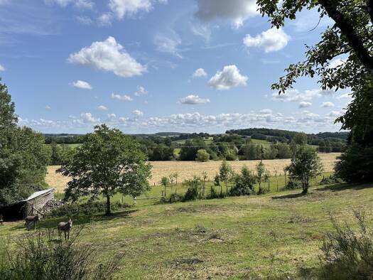 Terrain à vendre 127 000 € 13 000 m² de terrain Saint-Cyr-la-Rosière 61130