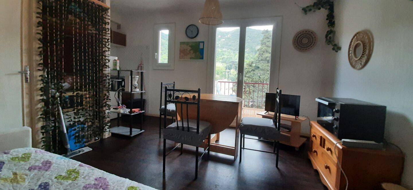 Appartement 1 pièce 19 m² · à Amélie-les-Bains-Palalda · 19,1 m² · 395 €