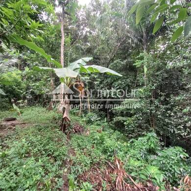 Terrain à vendre 127 000 € 1 052 m² de terrain Bouillante 97125