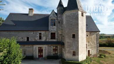 Château en viager occupée Bouquet 110 000 € 15 pièces 5 chambres 670 m² 19 440 m² de terrain Tours 37000
