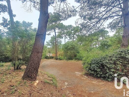 Terrain constructible à vendre 1 750 000 € 1 245 m² de terrain Pyla-sur-Mer La Teste-de-Buch 33115