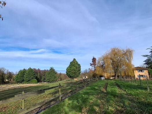 Maison à vendre 850 000 € 7 pièces 5 chambres 270 m² 114 040 m² de terrain Saint-André-d'Huiriat 01290