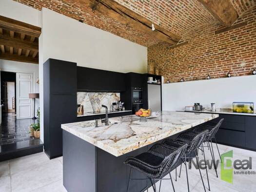 Maison à vendre 799 000 € 15 pièces 6 chambres 560 m² 1 230 m² de terrain Centre Saint-Amand-les-Eaux 59230