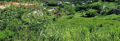 Terrain constructible à vendre 137 500 € 1 166 m² de terrain Le Vauclin 97280