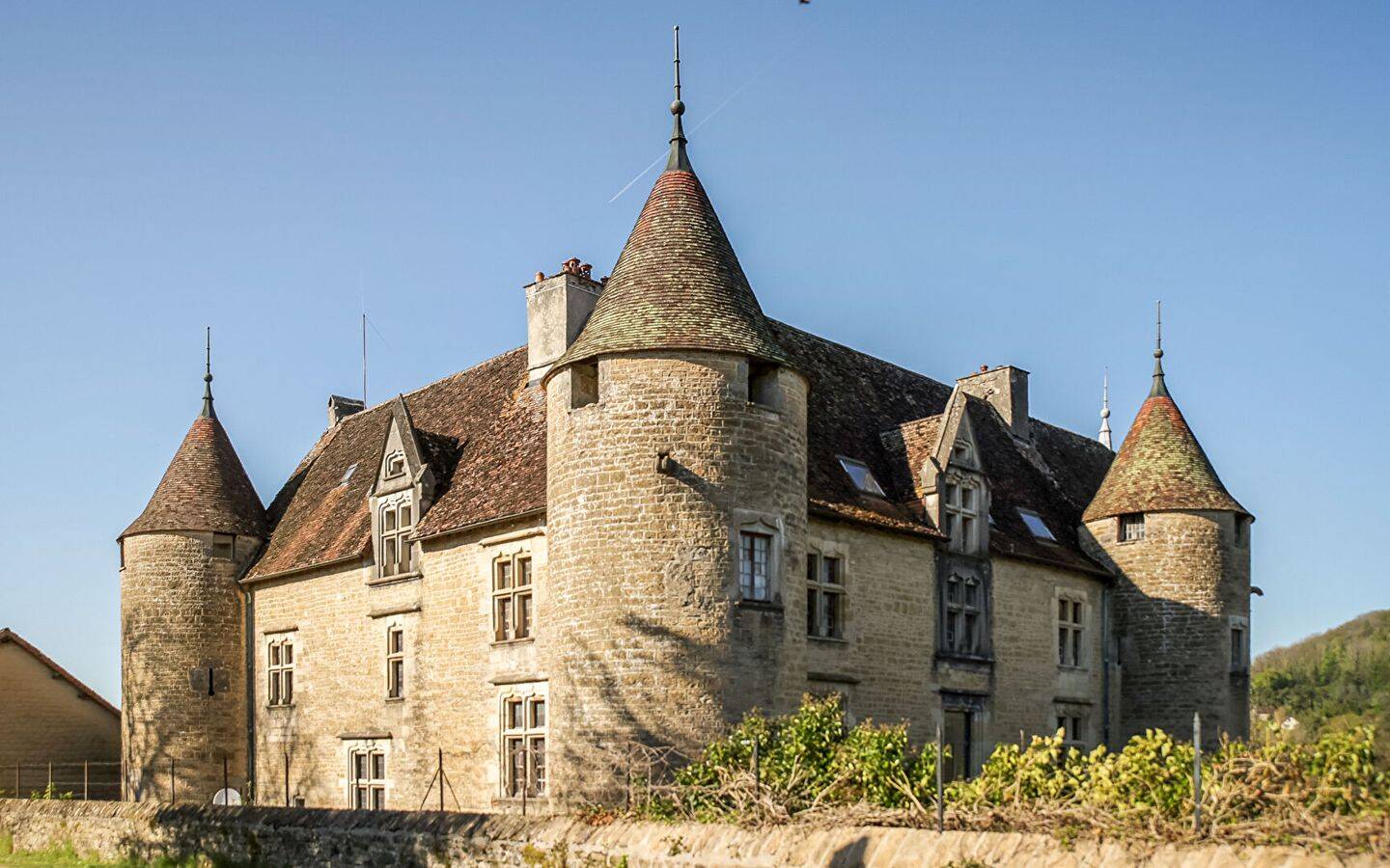 Maison 15 pièces 800 m² · à Domblans · 800 m² · 1 300 000 €