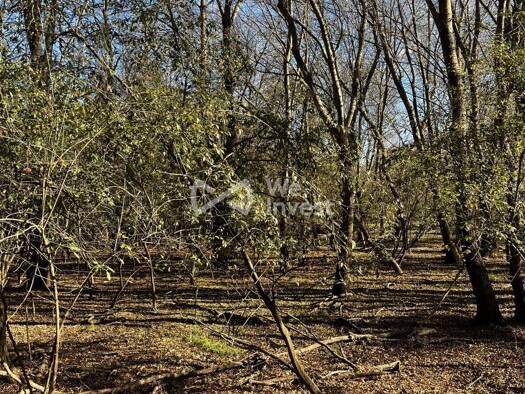 Terrain à vendre 19 000 € 4 148 m² de terrain Bras 83149