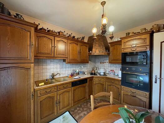 Maison en viager 48 200 € 4 pièces 3 chambres 96 m² 960 m² de terrain Montission Saint-Jean-le-Blanc 45650