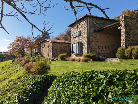 Maison à vendre 496 000 € 5 pièces 3 chambres 200 m² 3 305 m² de terrain Tarare 69170