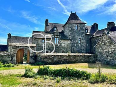 Château à vendre 1 240 000 € 30 pièces 29 chambres 794 m² 17 000 m² de terrain Morlaix 29600