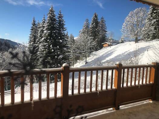 Appartement à vendre 380 000 € 3 pièces 2 chambres 53 m² Étage 1/3 Crest-Voland 73590