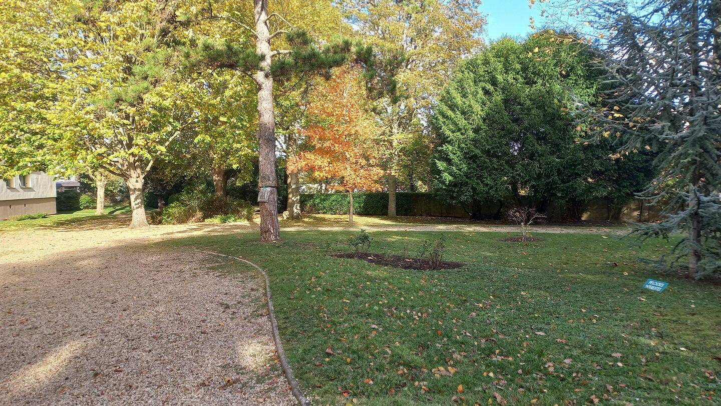 Appartement 3 pièces 62 m² · à Saint-Germain-en-Laye · 62 m² · 1 225 €/mois