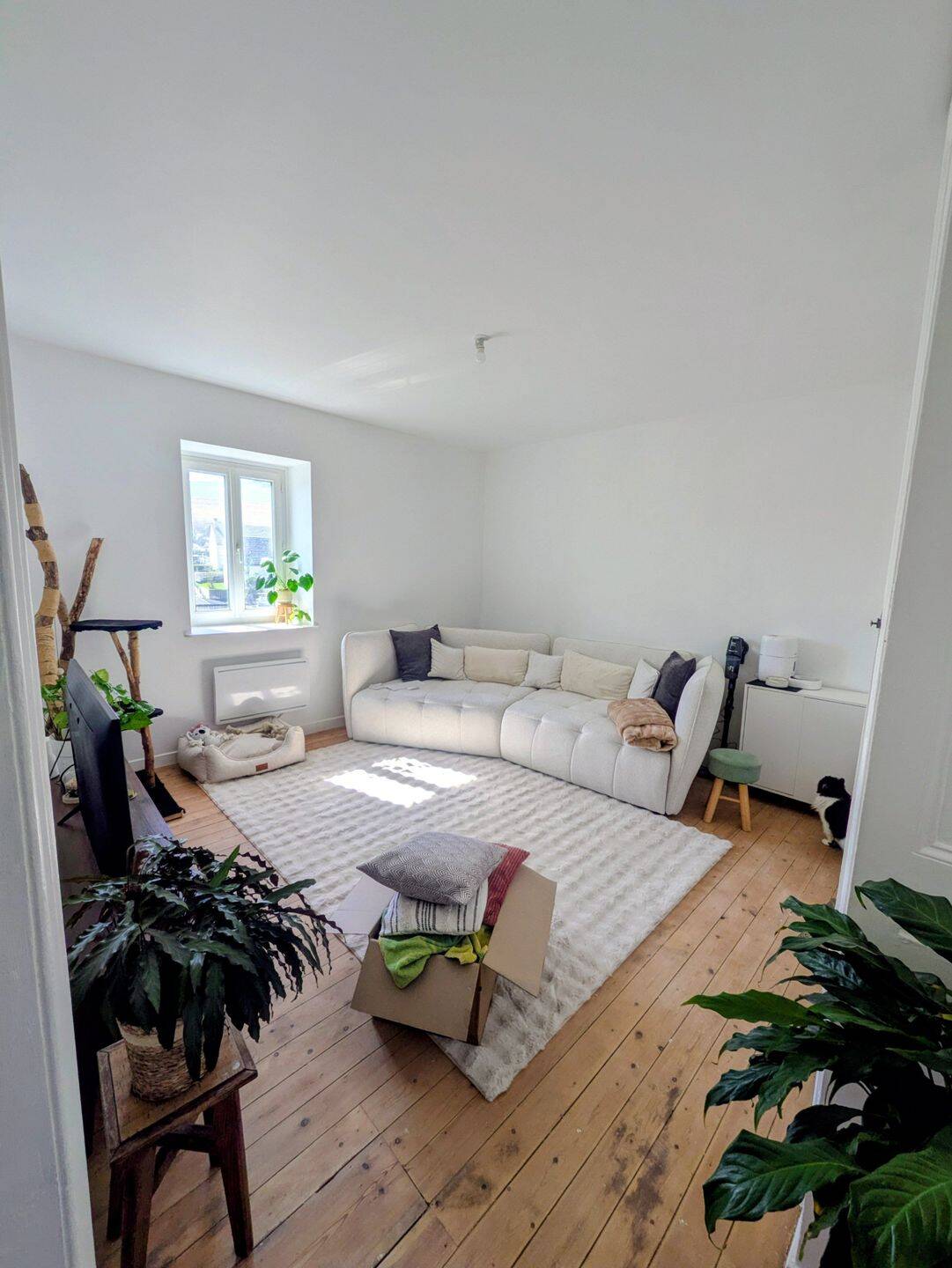 Appartement 3 pièces 60 m² · à Fécamp · 60 m² · 700 €