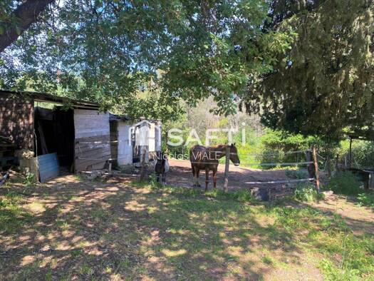 Maison à vendre 699 000 € 4 pièces 3 chambres 116 m² 24 596 m² de terrain Est Solliès-Pont 83210