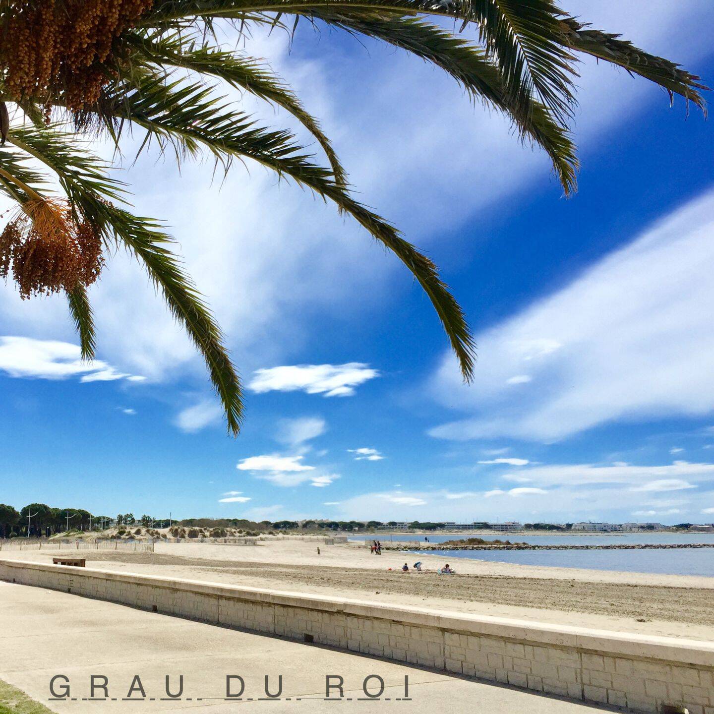 Appartement 4 pièces 79 m² · à Le Grau-du-Roi · 79 m² · 593 000 €