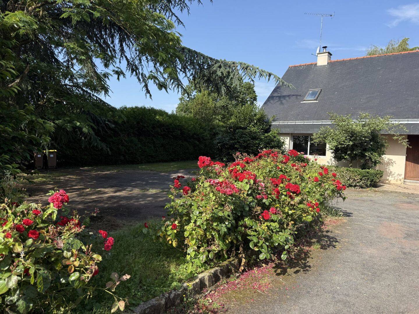 Maison 6 pièces 125 m² · à Guémené-Penfao · 125 m² · 249 900 €
