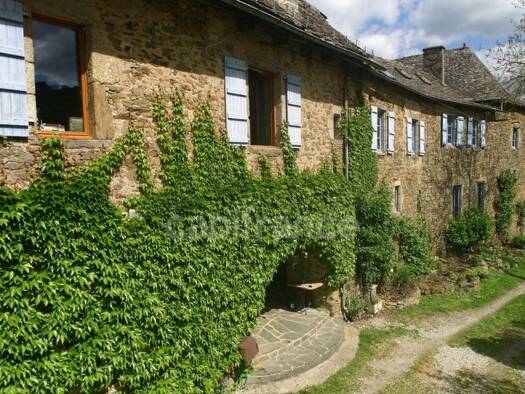 Maison à vendre 468 000 € 13 pièces 7 chambres 390 m² 4 014 m² de terrain Vieillevie 15120