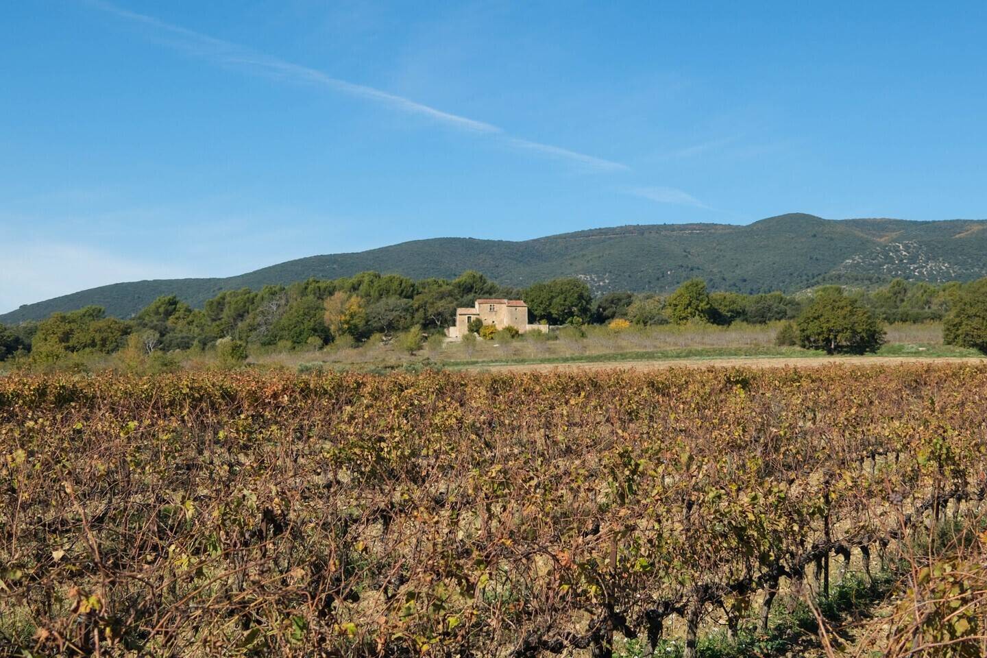Maison 12 pièces 479 m² · à Cucuron · 479 m² · 1 650 000 €