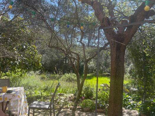 Maison à louer 900 € 7 pièces 2 chambres 80 m² dès le 01/05/2026 Peripherie Les Arcs 83460