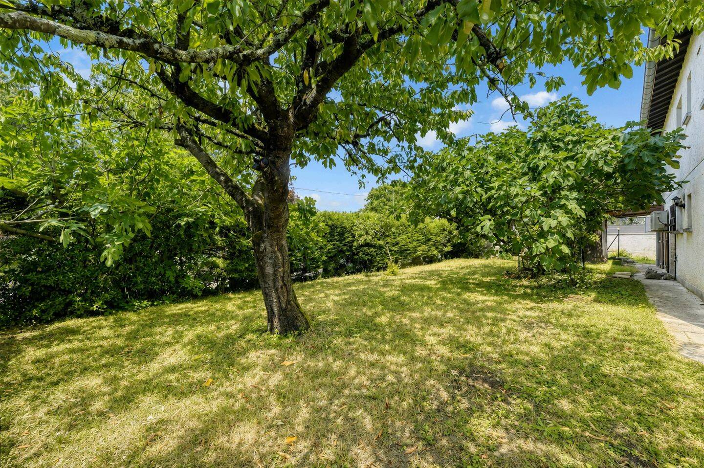 Maison 7 pièces 170 m² · à Saint-Jean · 170 m² · 349 000 €