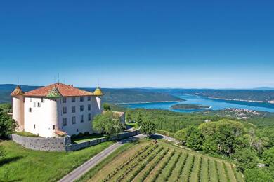 Château à vendre 10 500 000 € 35 pièces 23 chambres 1 039 m² 153 820 m² de terrain Cannes 06150