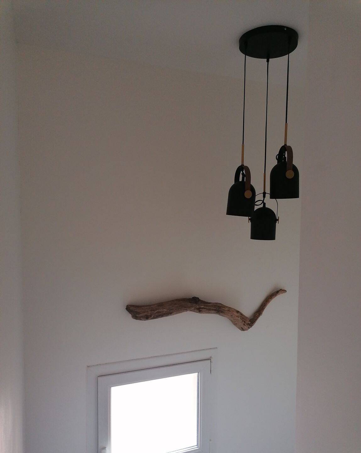 Colocation dans une jolie maison avec jardin — 5