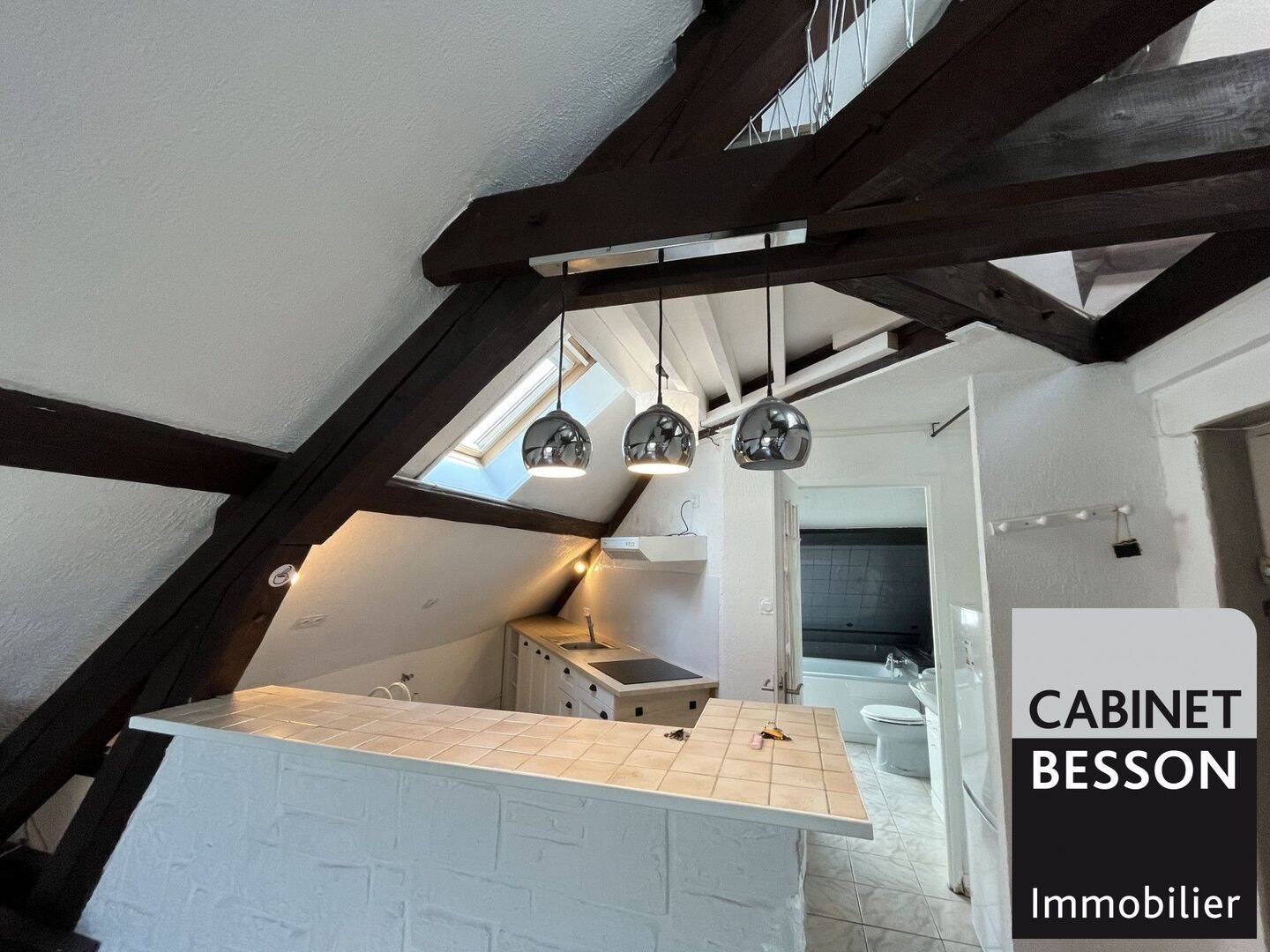 Appartement 1 pièce 20 m² · à Grenoble · 19,8 m² · 514 €/mois