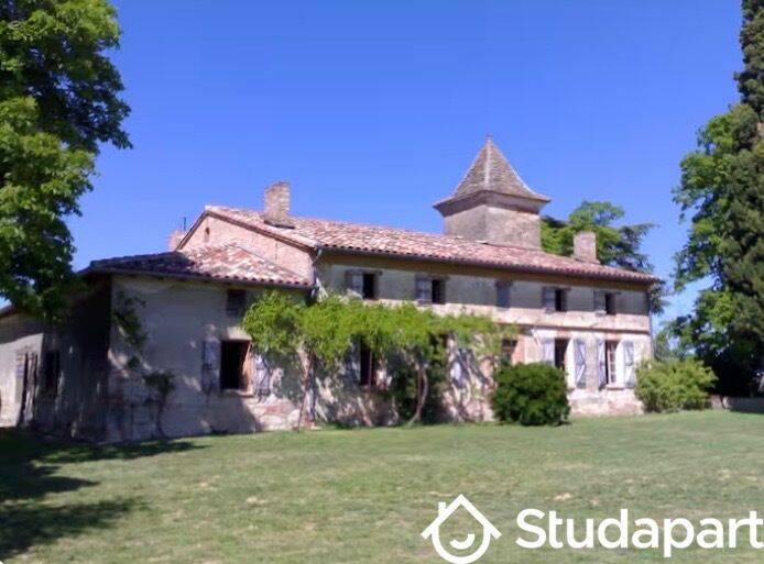 1 pièce 25 m² · à Montpitol · 25 m² · 650 €/mois